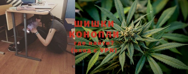 гидра Балахна